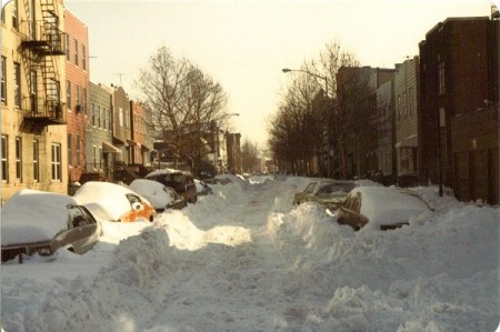 nycsnowstorm nycsnowstorm